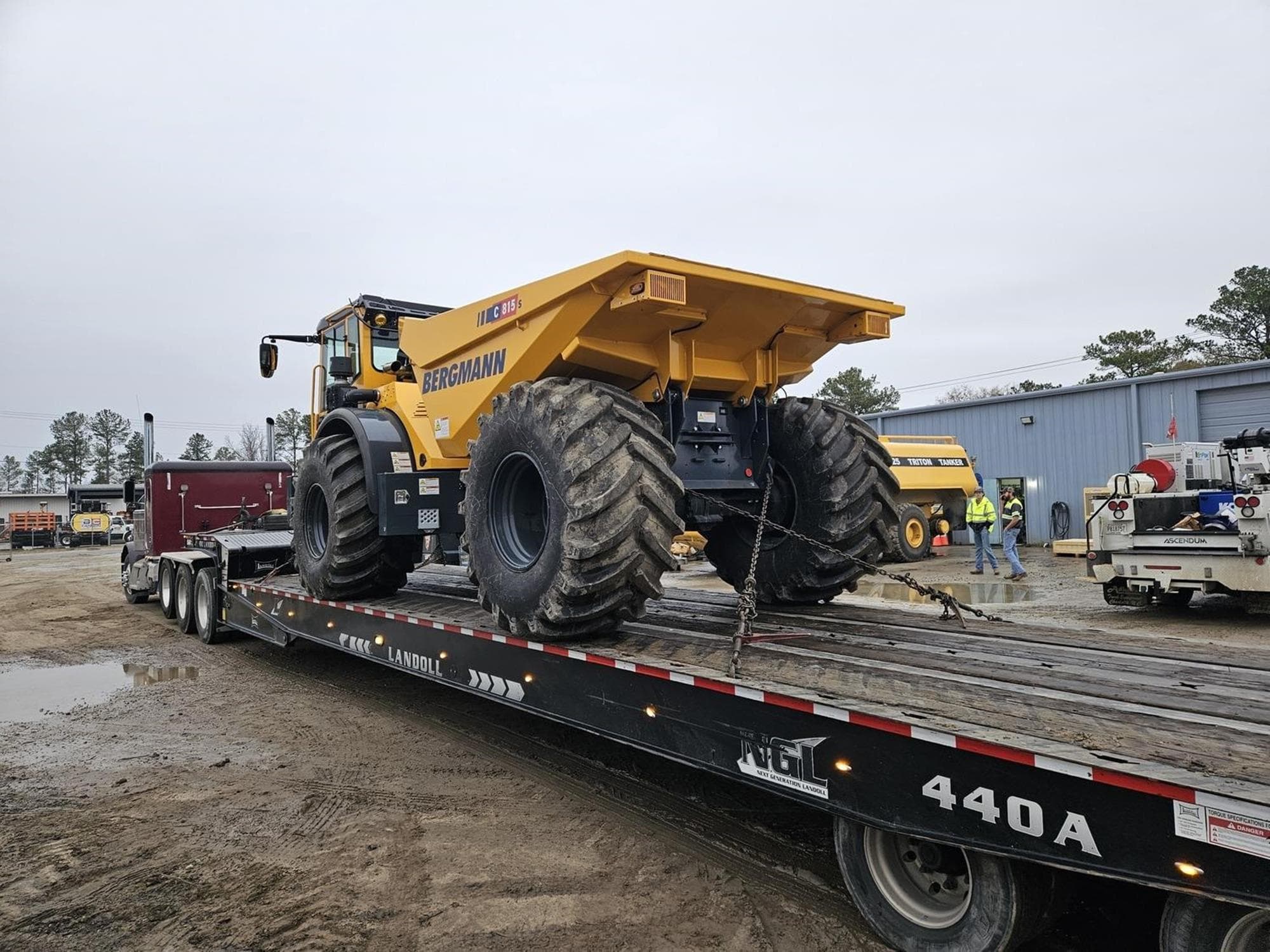 BERGMANN C815S 2bxfdsz.jpeg