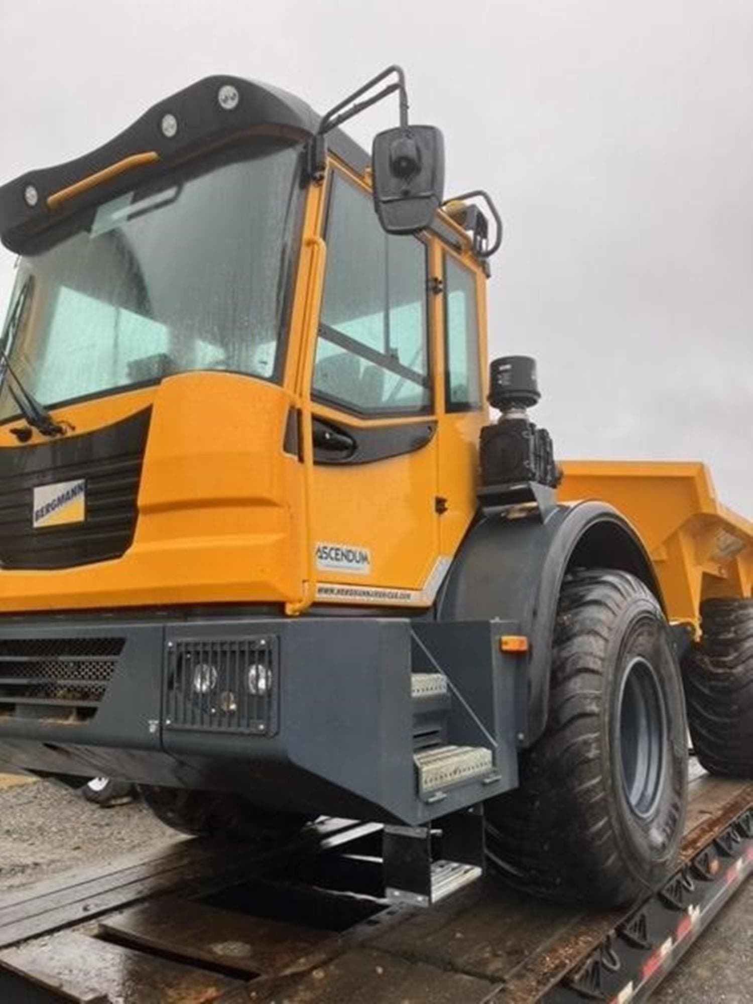 BERGMANN C815S Mw%2fUM.jpeg