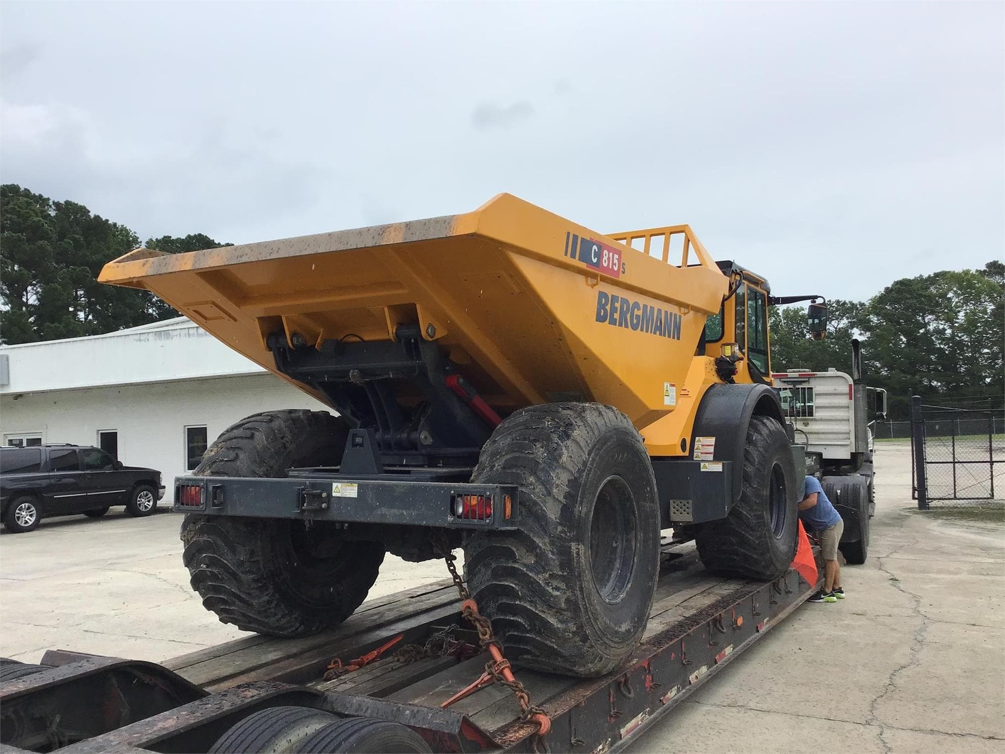 BERGMANN C815S BXh0VF2.jpeg