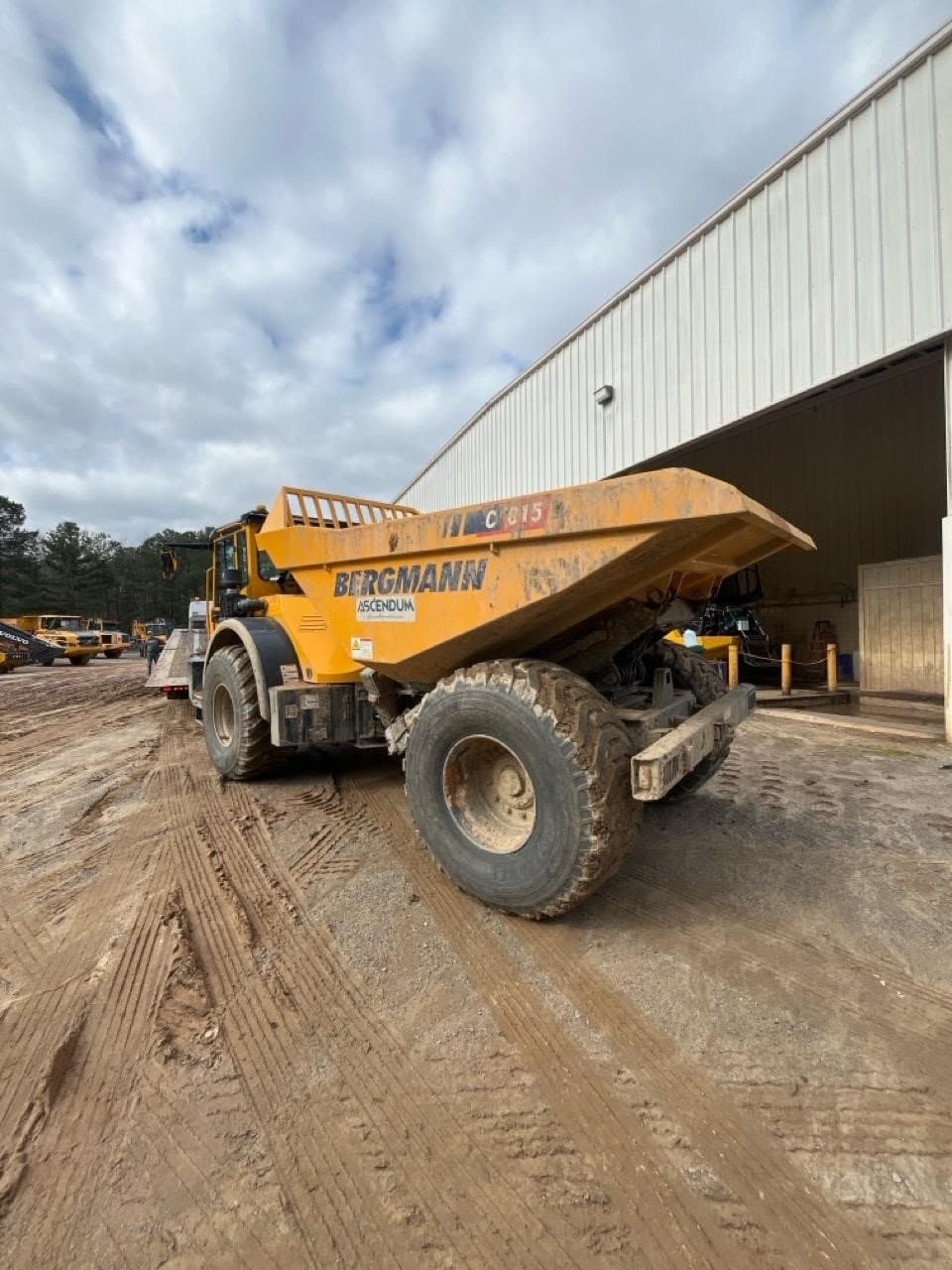 BERGMANN C815S Y%2bgNg.jpeg