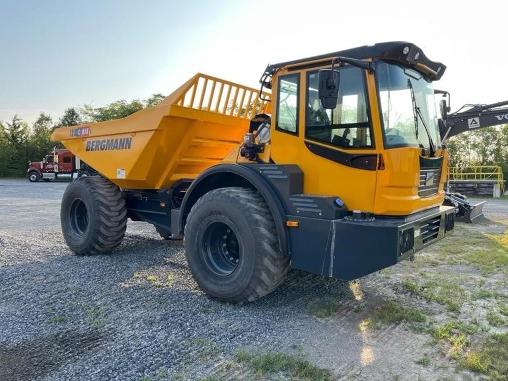 BERGMANN C815S UaCOhm0.jpeg