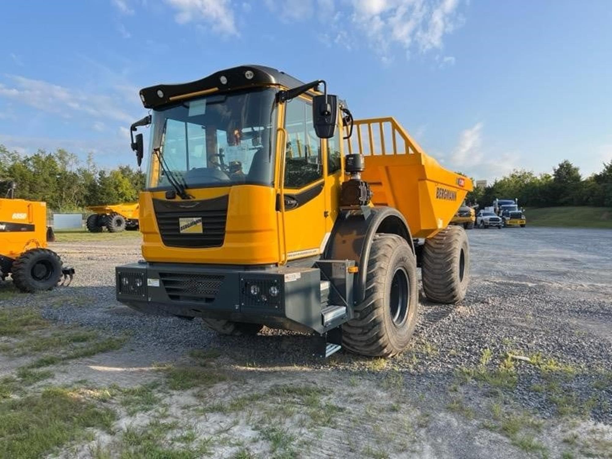 BERGMANN C815S 6KXKjLq.jpeg